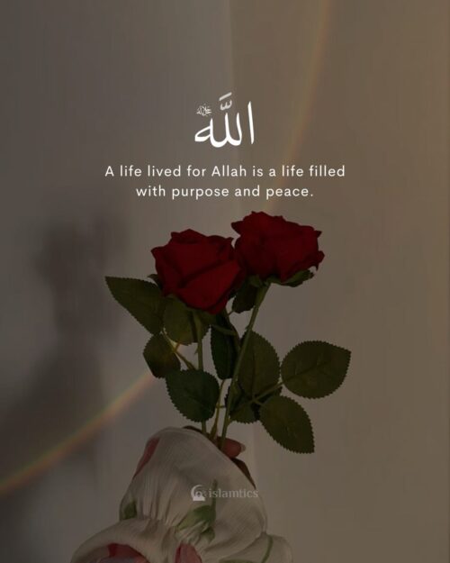 A life lived for Allah is a life filled with purpose and peace.