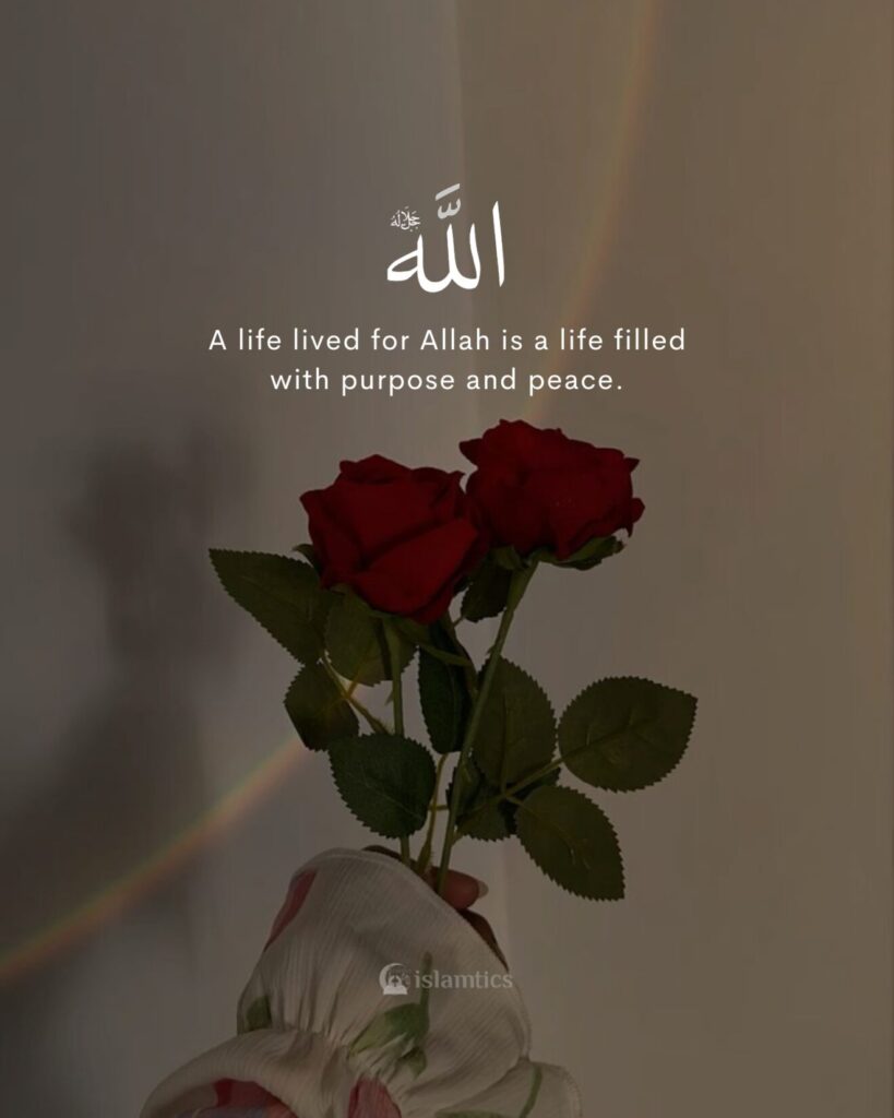 A life lived for Allah is a life filled with purpose and peace.