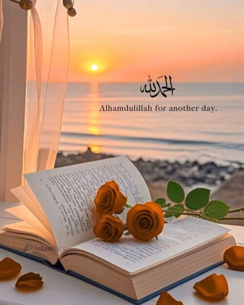 Alhamdulillah for another day.