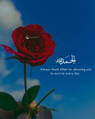 Always thank Allah for allowing you to survive every day.