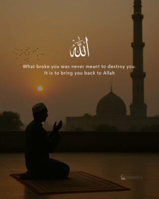 What broke you was never meant to destroy you. It is to bring you back to Allah