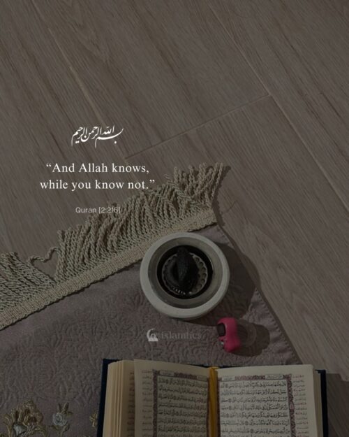 “And Allah knows, while you know not.”