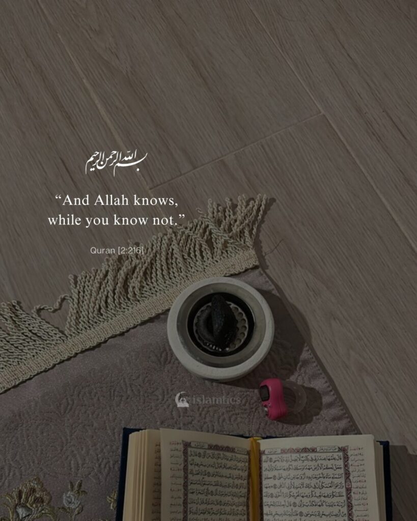 “And Allah knows, while you know not.”