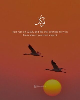 Just rely on Allah, and He will provide for you from where you least expect