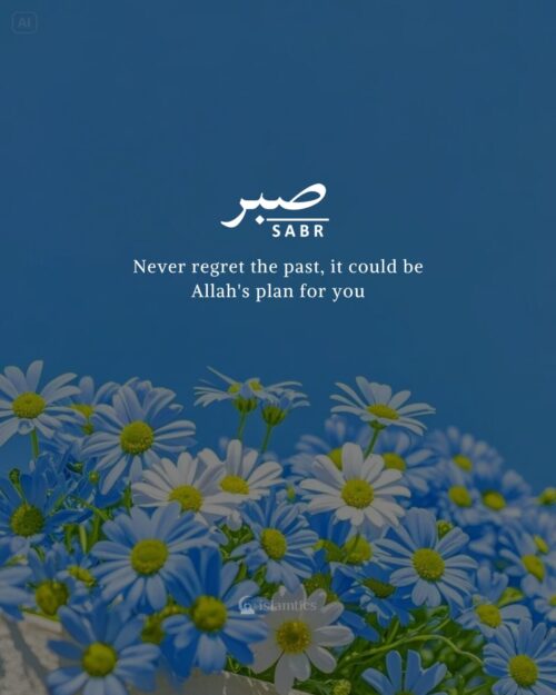 Never regret the past, it could be Allah's plan for you