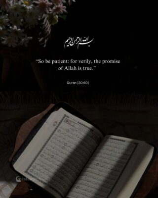 “So be patient: for verily, the promise of Allah is true.”
