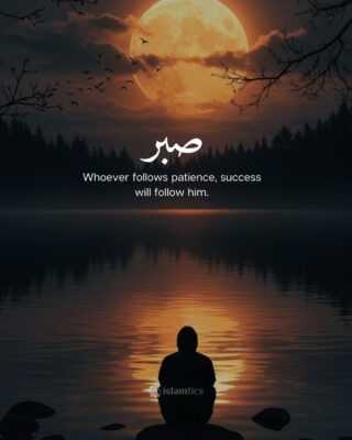 Whoever follows patience, success will follow him.