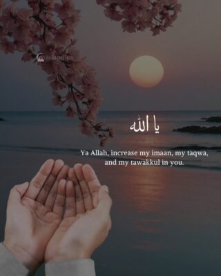 Ya Allah, increase my imaan, my taqwa, and my tawakkul in you.