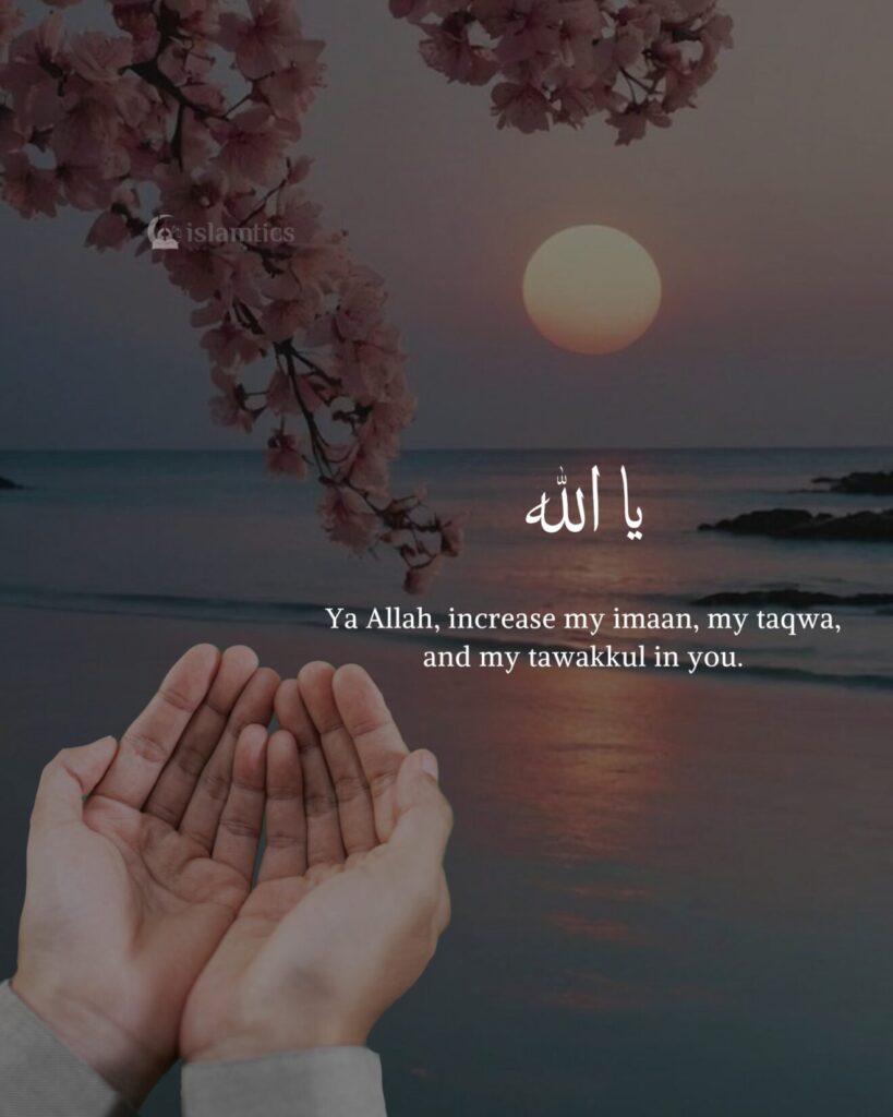 Ya Allah, increase my imaan, my taqwa, and my tawakkul in you.