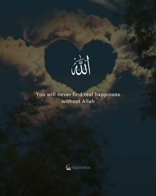 You will never find real happiness without Allah