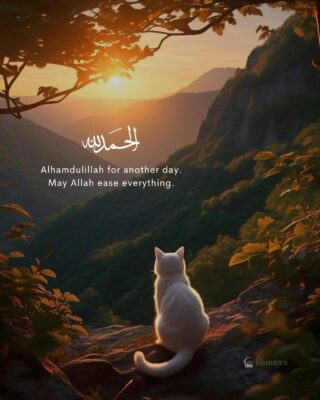 Alhamdulillah for another day May Allah ease everything.