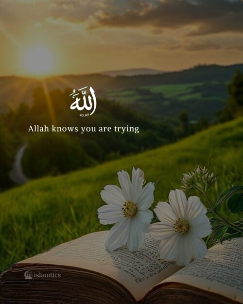 Allah knows you are trying