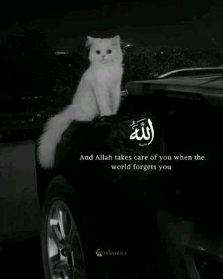 And Allah takes care of you when the world forgets you