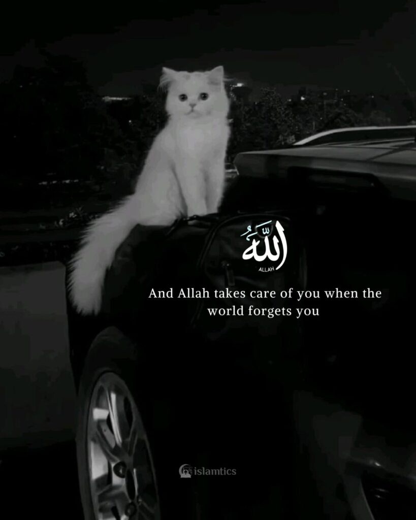 And Allah takes care of you when the world forgets you