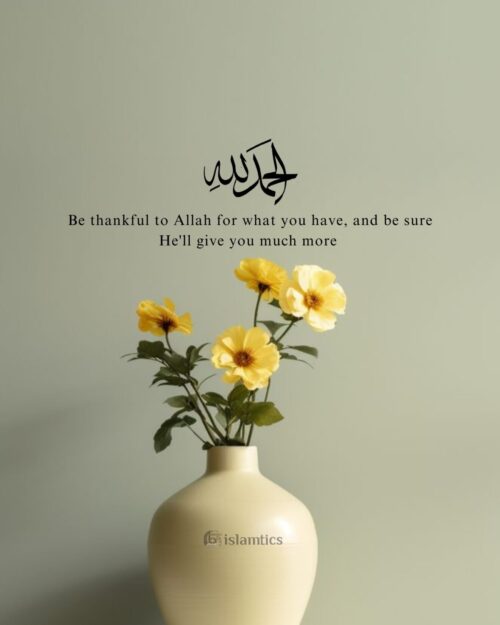 Be thankful to Allah for what you have, and be sure He'll give you much more