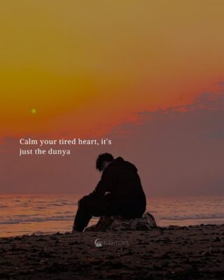 Calm your tired heart, it’s just the dunya