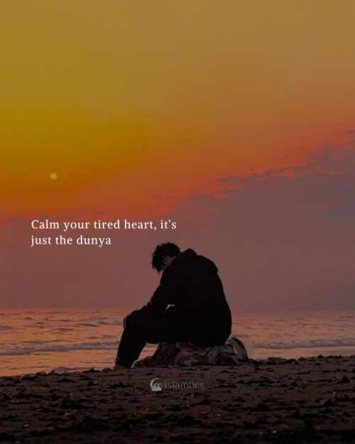 Calm your tired heart, it’s just the dunya