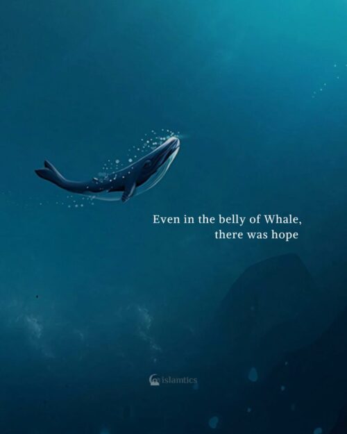 Even in the belly of Whale, there was hope
