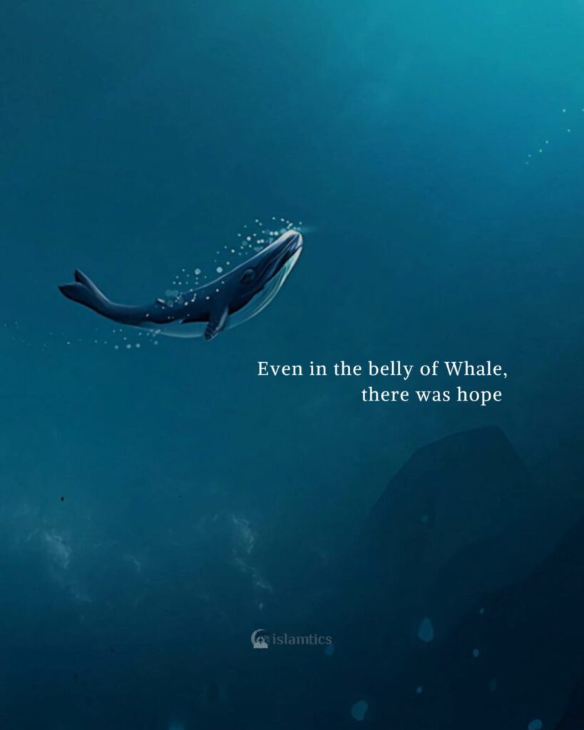 Even in the belly of Whale, there was hope