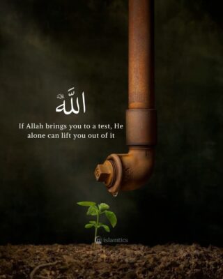 If Allah brings you to a test, He alone can lift you out of it