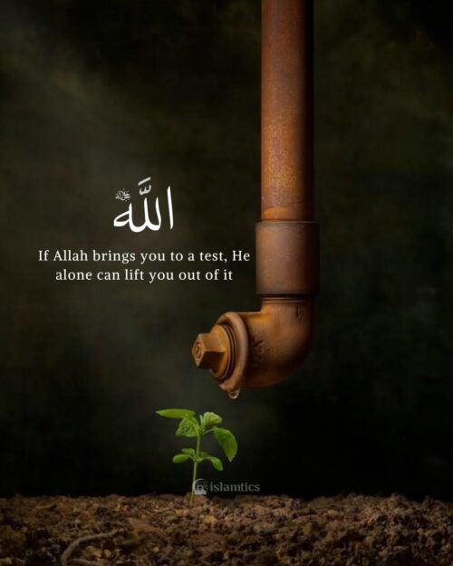 If Allah brings you to a test, He alone can lift you out of it
