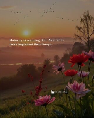 Maturity is realizing that: Akhirah is more important then Dunya