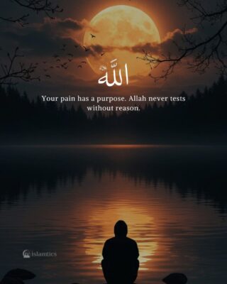 Your pain has a purpose. Allah never tests without reason.