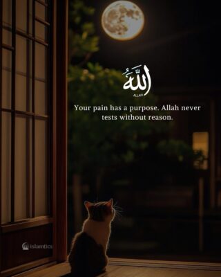 Your pain has a purpose. Allah never tests without reason.