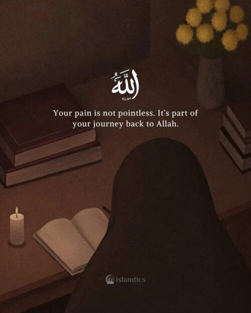 Your pain is not pointless. It’s part of your journey back to Allah.