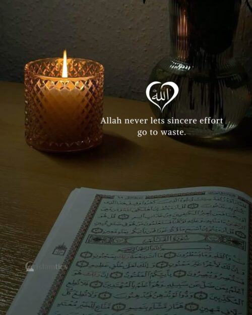 Allah never lets sincere effort go to waste.