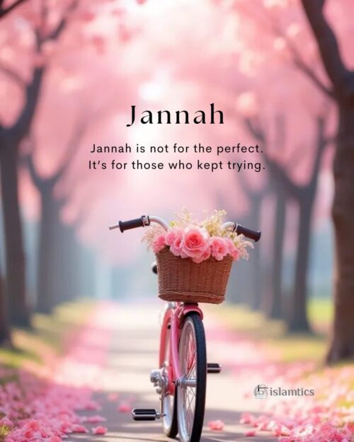 Jannah is not for the perfect. It’s for those who kept trying.