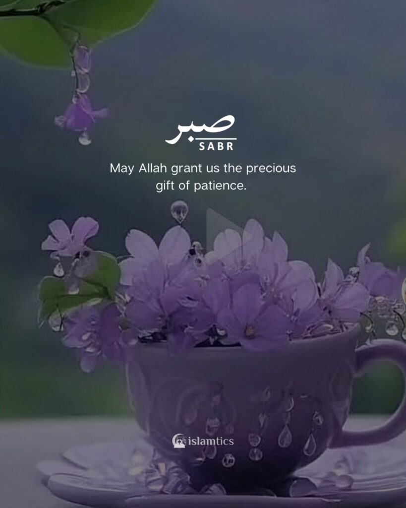 May Allah grant us the precious gift of patience.