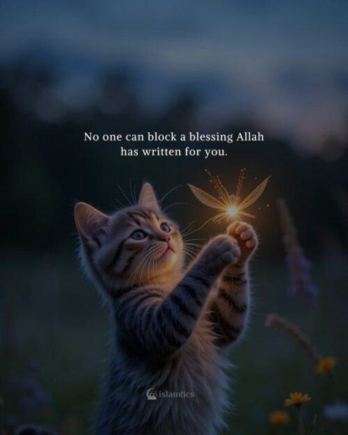 No one can block a blessing Allah has written for you.