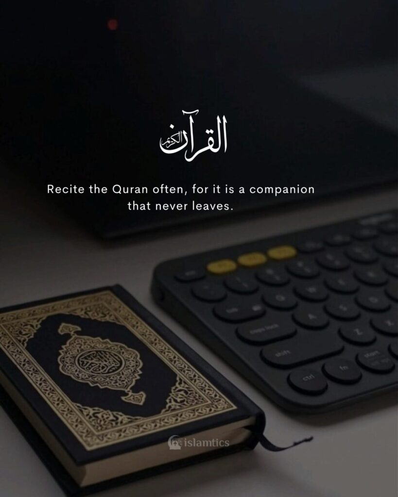 Recite the Quran often, for it is a companion that never leaves.