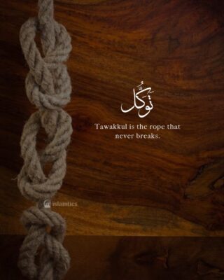Tawakkul is the rope that never breaks.