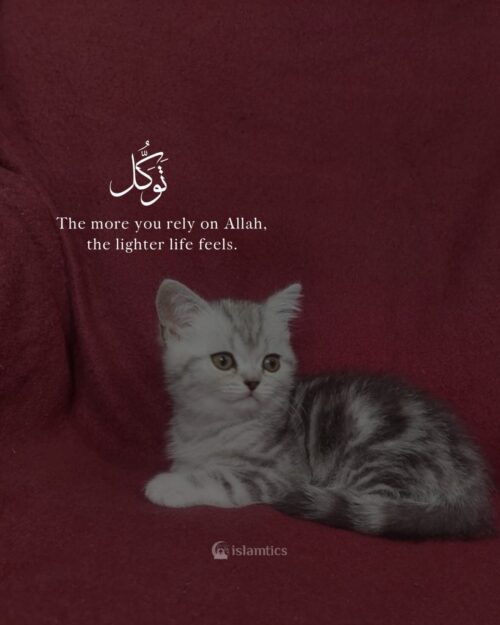 The more you rely on Allah, the lighter life feels.