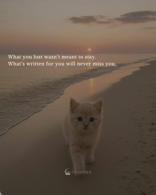 What you lost wasn’t meant to stay. What’s written for you will never miss you.