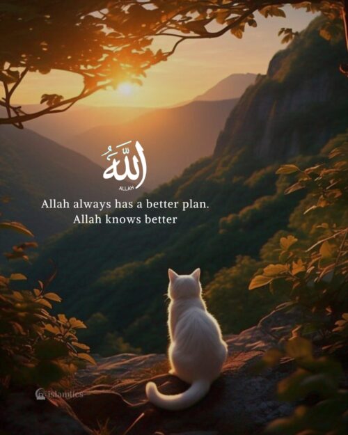 Allah always has a better plan. Allah knows better