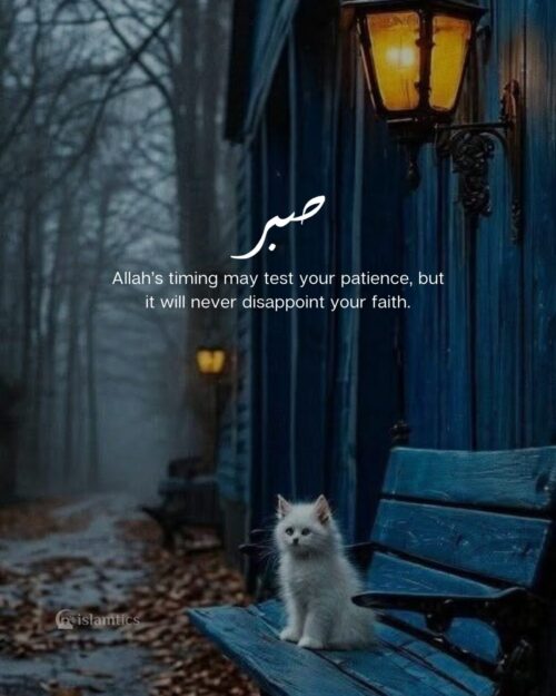 Allah’s timing may test your patience, but it will never disappoint your faith.