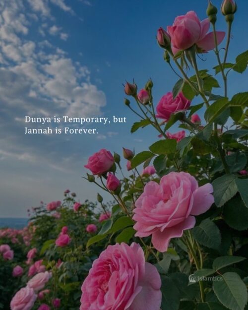 Dunya is Temporary but Jannah is Forever.