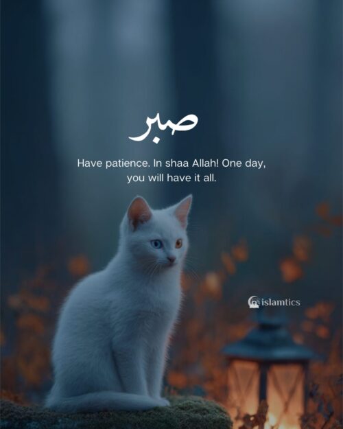 Have patience. In shaa Allah! One day, you will have it all.