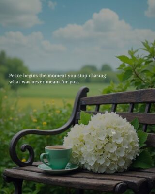 Peace begins the moment you stop chasing what was never meant for you.