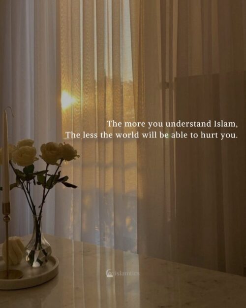 The more you understand Islam, the less the world will be able to hurt you.