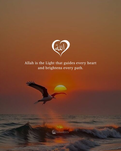 Allah is the Light that guides every heart and brightens every path.