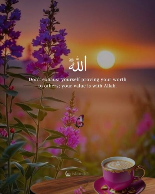 Don’t exhaust yourself proving your worth to others; your value is with Allah.