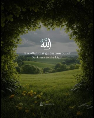 It is Allah that guides you out of Darkness to the Light