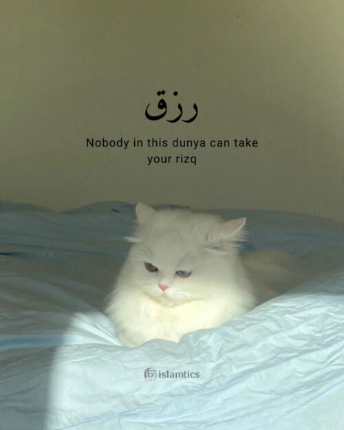 Nobody in this dunya can take your rizq