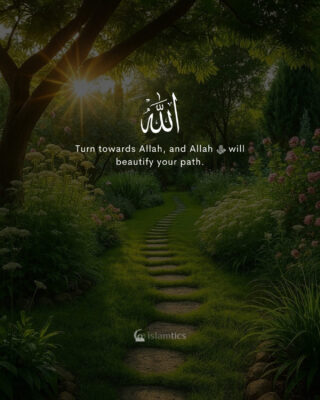 Turn towards Allah, and Allah ﷻ will beautify your path.