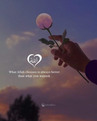 What Allah chooses is always better than what you wanted.