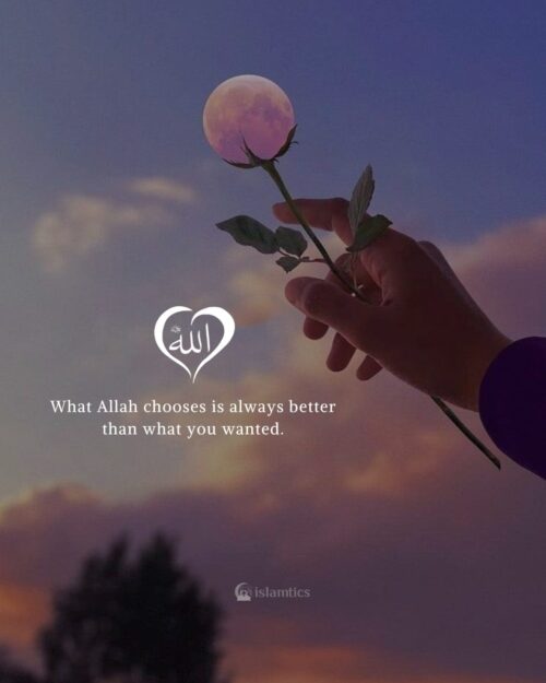 What Allah chooses is always better than what you wanted.